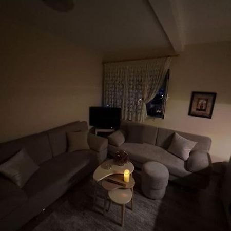 Quiet, Cozy, Luminous Apartment تيرانا المظهر الخارجي الصورة