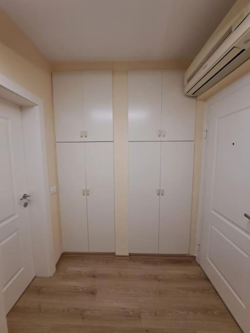 Quiet, Cozy, Luminous Apartment تيرانا المظهر الخارجي الصورة