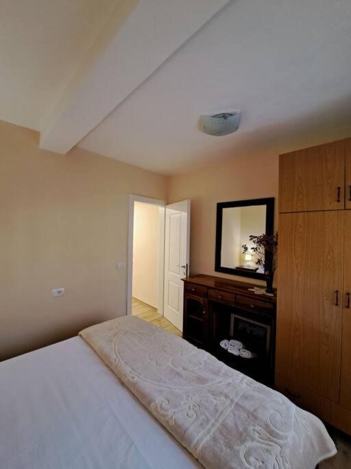 Quiet, Cozy, Luminous Apartment تيرانا المظهر الخارجي الصورة