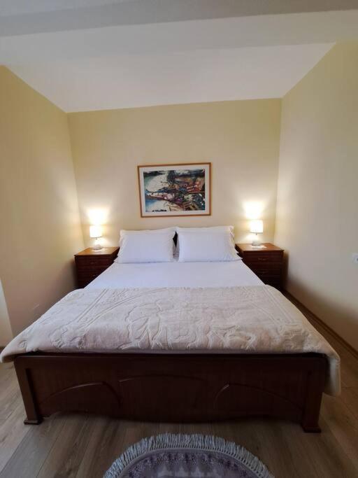 Quiet, Cozy, Luminous Apartment تيرانا المظهر الخارجي الصورة