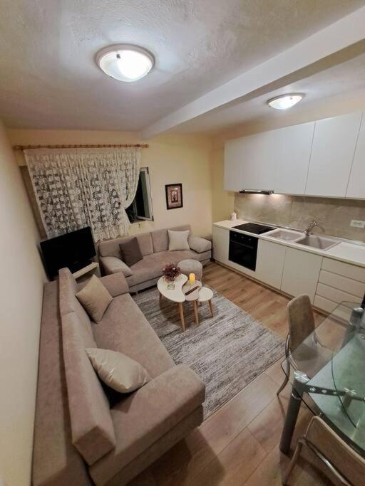 Quiet, Cozy, Luminous Apartment تيرانا المظهر الخارجي الصورة