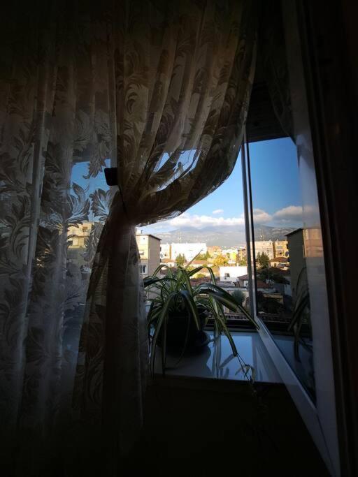 Quiet, Cozy, Luminous Apartment تيرانا المظهر الخارجي الصورة