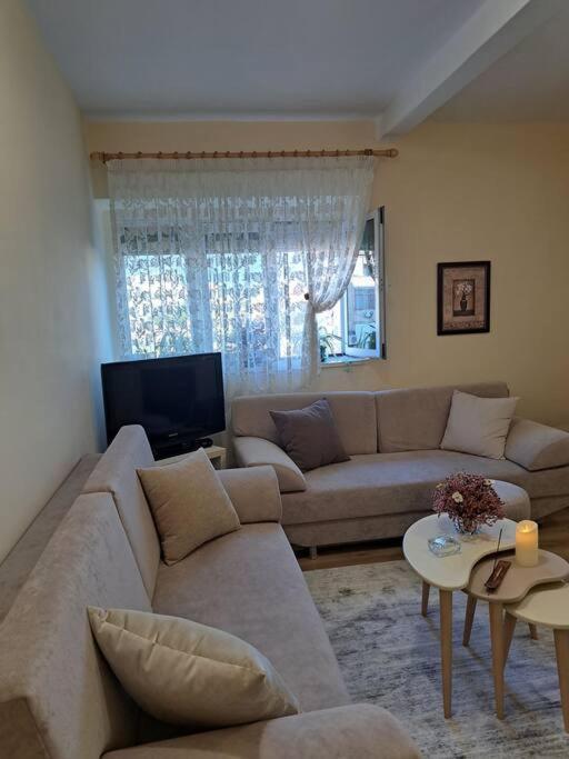 Quiet, Cozy, Luminous Apartment تيرانا المظهر الخارجي الصورة