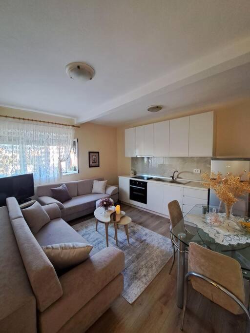 Quiet, Cozy, Luminous Apartment تيرانا المظهر الخارجي الصورة