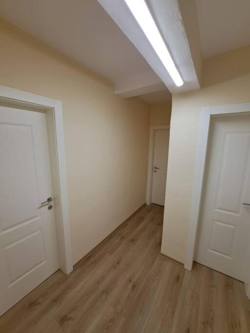 Quiet, Cozy, Luminous Apartment تيرانا المظهر الخارجي الصورة
