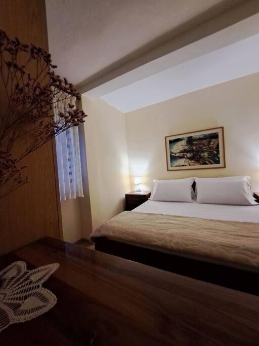 Quiet, Cozy, Luminous Apartment تيرانا المظهر الخارجي الصورة