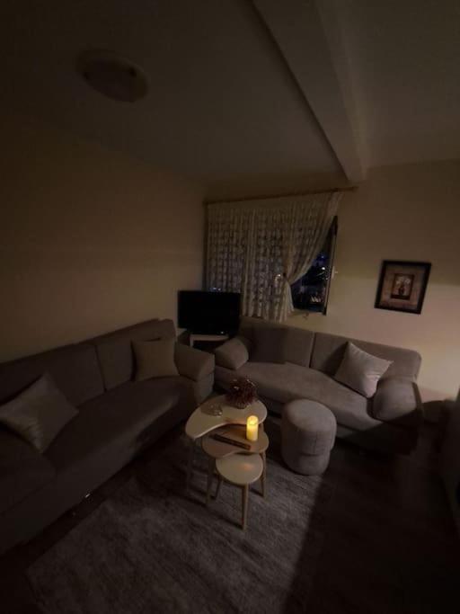 Quiet, Cozy, Luminous Apartment تيرانا المظهر الخارجي الصورة